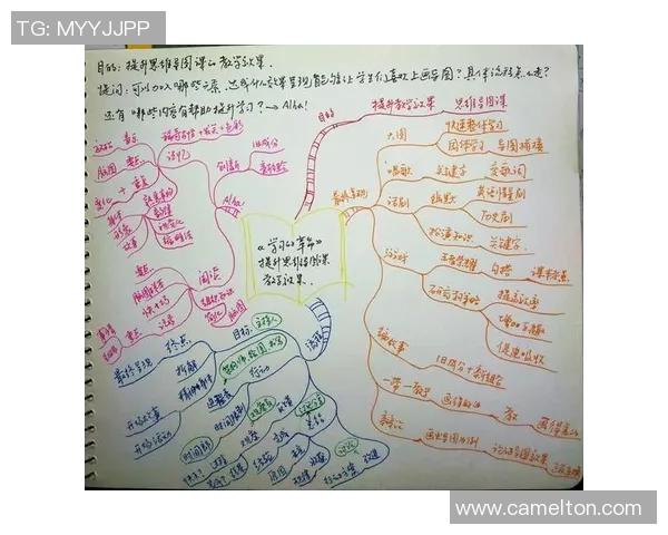刘强的乒乓球人生深度对话探讨与启示分享