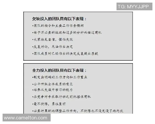 深圳排球队的默契配合与战术探讨：提升团队协作的关键因素