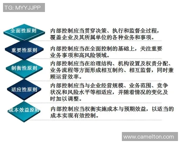 武汉滑板队运营分析：成功经验与挑战反思的全面探讨