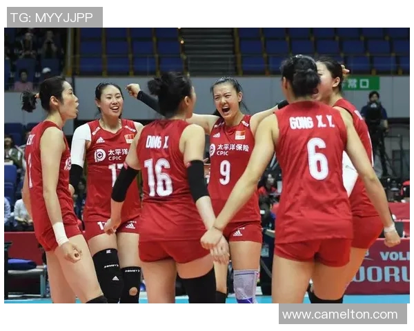 北京排球队引领最新排球技术TOP10榜单解析与发展趋势探讨