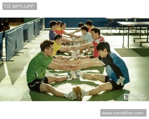 乒乓球的奋斗与荣耀：北京乒乓球队成长历程的真实记录与感悟