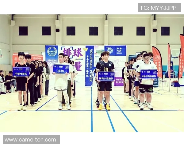 上海排球队耐力革命引发热议助力竞技水平提升