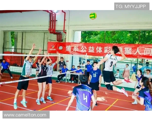 广州排球队荣登排球灵活性排行榜首位展现卓越实力与团队协作