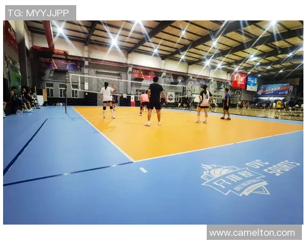 杭州排球队的盯防策略揭秘与排球深度分析