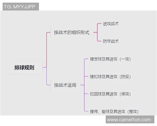 杭州与重庆排球队较量分析强弱对比与战术探讨