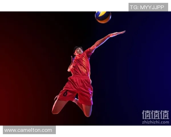 深度对话：杨军如何在排球赛场上书写人生传奇与奋斗历程