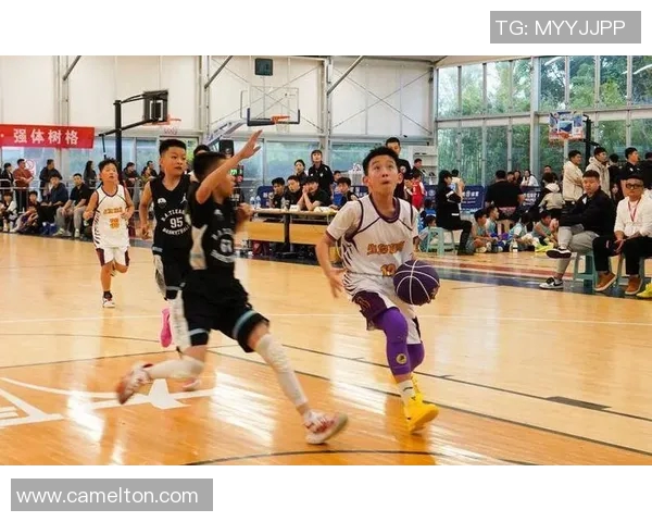 西安篮球队在比赛经验排名中创新高展现实力与团队精神