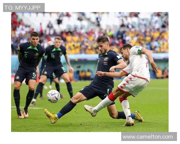 突尼斯足球明星的辉煌历程与对国家队的贡献分析