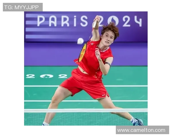 赛后分析：西安羽毛球队与北京羽毛球队的对抗节奏与战术探讨