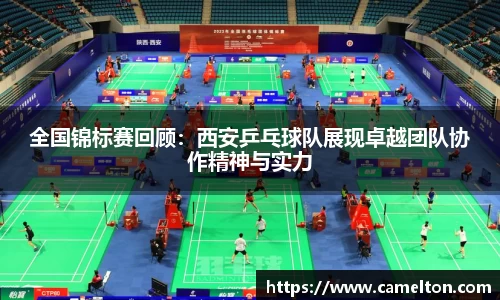 全国锦标赛回顾：西安乒乓球队展现卓越团队协作精神与实力
