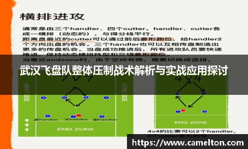 武汉飞盘队整体压制战术解析与实战应用探讨