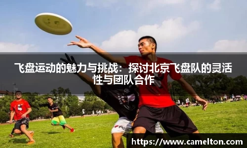 飞盘运动的魅力与挑战：探讨北京飞盘队的灵活性与团队合作