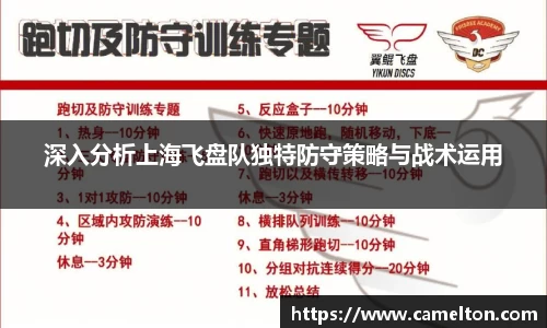 深入分析上海飞盘队独特防守策略与战术运用