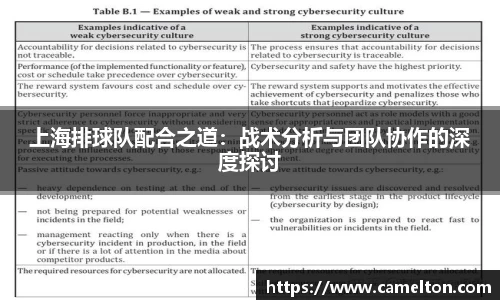 上海排球队配合之道：战术分析与团队协作的深度探讨