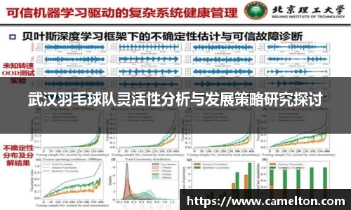 武汉羽毛球队灵活性分析与发展策略研究探讨