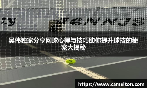 吴伟独家分享网球心得与技巧助你提升球技的秘密大揭秘