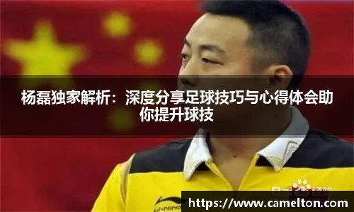 杨磊独家解析：深度分享足球技巧与心得体会助你提升球技