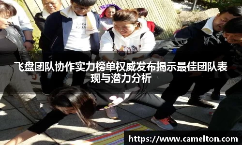 飞盘团队协作实力榜单权威发布揭示最佳团队表现与潜力分析