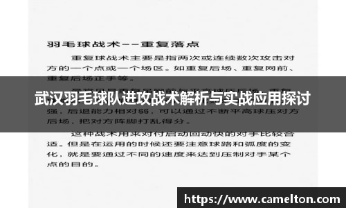 武汉羽毛球队进攻战术解析与实战应用探讨