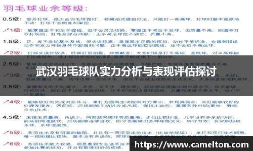 武汉羽毛球队实力分析与表现评估探讨