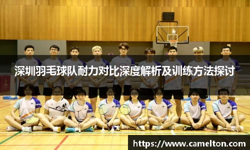 深圳羽毛球队耐力对比深度解析及训练方法探讨