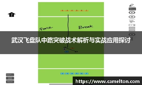 武汉飞盘队中路突破战术解析与实战应用探讨