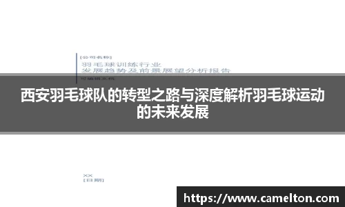 西安羽毛球队的转型之路与深度解析羽毛球运动的未来发展